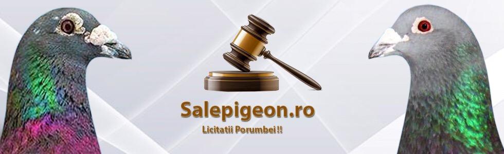 SalePigeon – Licitatii Columbofile 